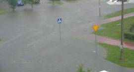 zdjęcie nr 40