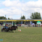 zdjęcie nr 38