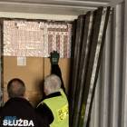 Fotka nr 2 z 3