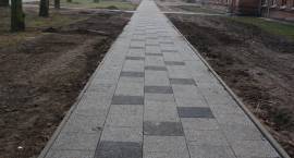 zdjęcie nr 8