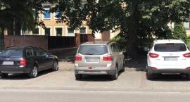 Fotka nr 3 z 25