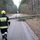zdjęcie nr 77