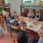 zdjęcie nr 15