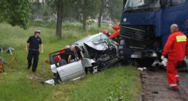 zdjęcie nr 11