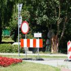 zdjęcie nr 42