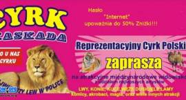 Fotka nr 0 z 2