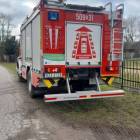 Fotka nr 2 z 6