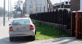 zdjęcie nr 9
