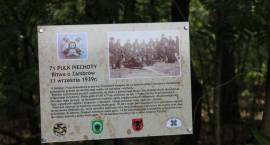 zdjęcie nr 45