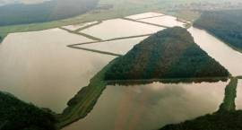 Stawy rybne (widok z lotu ptaka) /fot. Katarzyna Walendziak