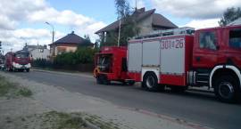 zdjęcie nr 7