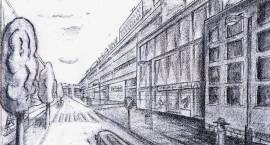 zdjęcie nr 19