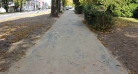 zdjęcie nr 20