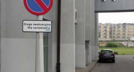 zdjęcie nr 12