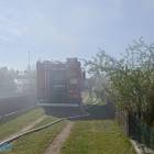 Fotka nr 3 z 11