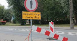 zdjęcie nr 12