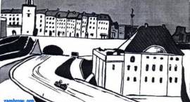 zdjęcie nr 23