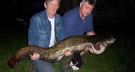 Wędkarz z Zambrowa złapał suma o wadze 20,4 kg