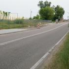 zdjęcie nr 31