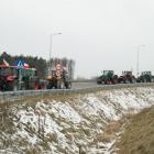 zdjęcie nr 113