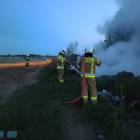 Fotka nr 2 z 14