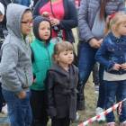 zdjęcie nr 172