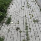 zdjęcie nr 11