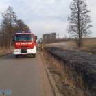 Fotka nr 1 z 4