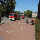 zdjęcie nr 13