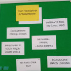 zdjęcie nr 10
