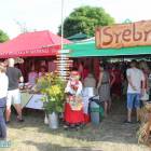 zdjęcie nr 160