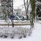 zdjęcie nr 8