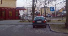 zdjęcie nr 10