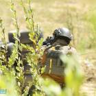 Fotka nr 5 z 17