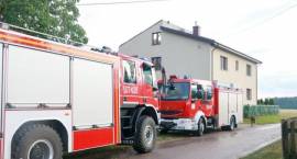zdjęcie nr 43
