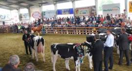 XV Regionalna Wystawa Zwierząt Hodowlanych i Dni z Doradztwem Rolniczym w Podlaskim...