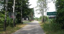 zdjęcie nr 36