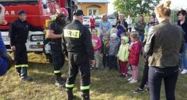 zdjęcie nr 16
