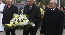 zdjęcie nr 35
