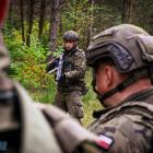 Fotka nr 5 z 6