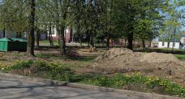 zdjęcie nr 8