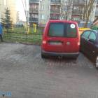 zdjęcie nr 11