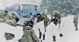 Podlascy Terytorialsi szukali padłych dzików