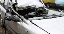 Opel Astra zniszczony w dn. 05.02.2011 r. przez upadające drzewo na drodze krajowej nr...