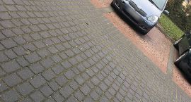Fotka nr 1 z 42