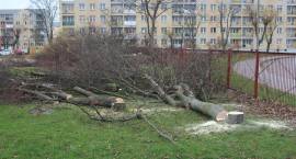 zdjęcie nr 13