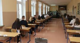 zdjęcie nr 8