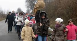 zdjęcie nr 8
