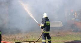Fotka nr 3 z 10