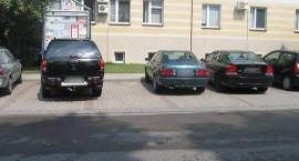 zdjęcie nr 9